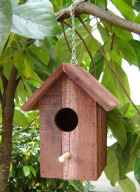 Bird Supplies - Bird Feeders, Bird Houses Plant Land Products 