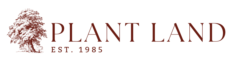 Plant Land