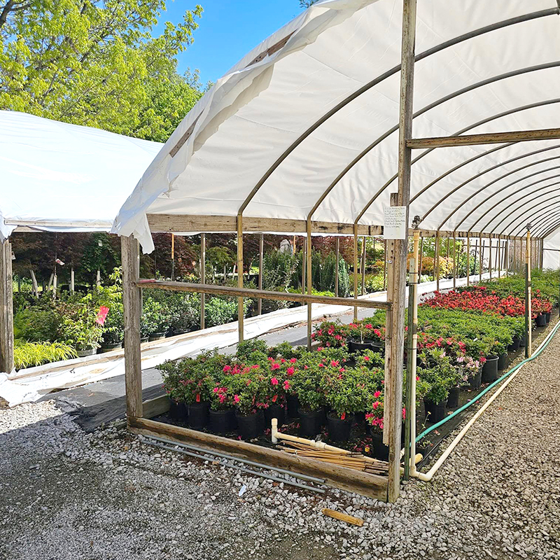 Gardening Expertise & Consulting Gardening Expertise & Consulting