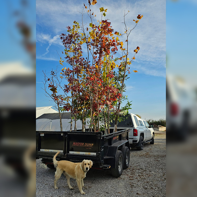 Delivery Services Mulch & Rock Supplies